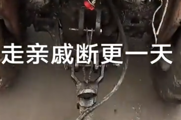 写电影解说真不如掰玉米